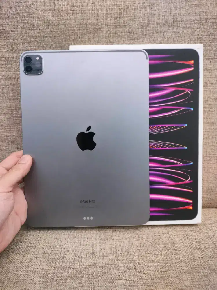 ipad pro M2 256gb wifi mulus