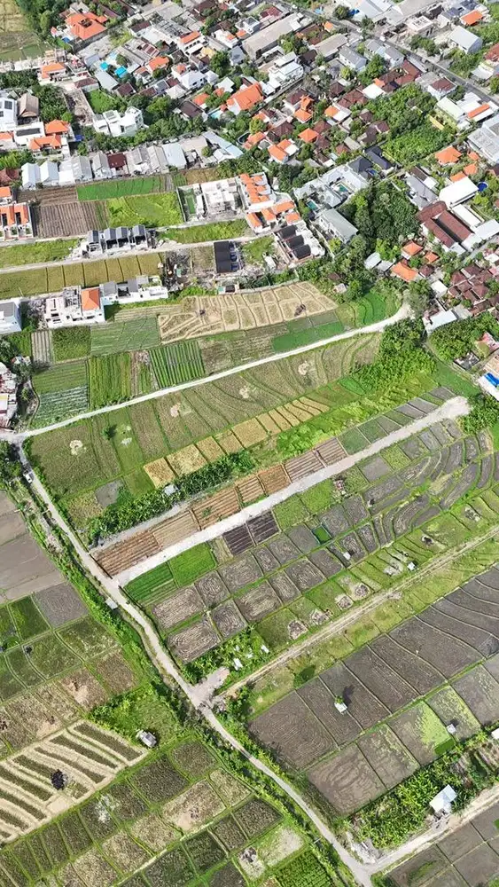 TANAH SEWA / LEASEHOLD 30 TAHUN KEROBOKAN