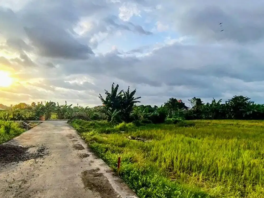 LSH-015.DAU | Sewa 20Th Tanah Kavling Lokasi Strategis di Sedap Malam