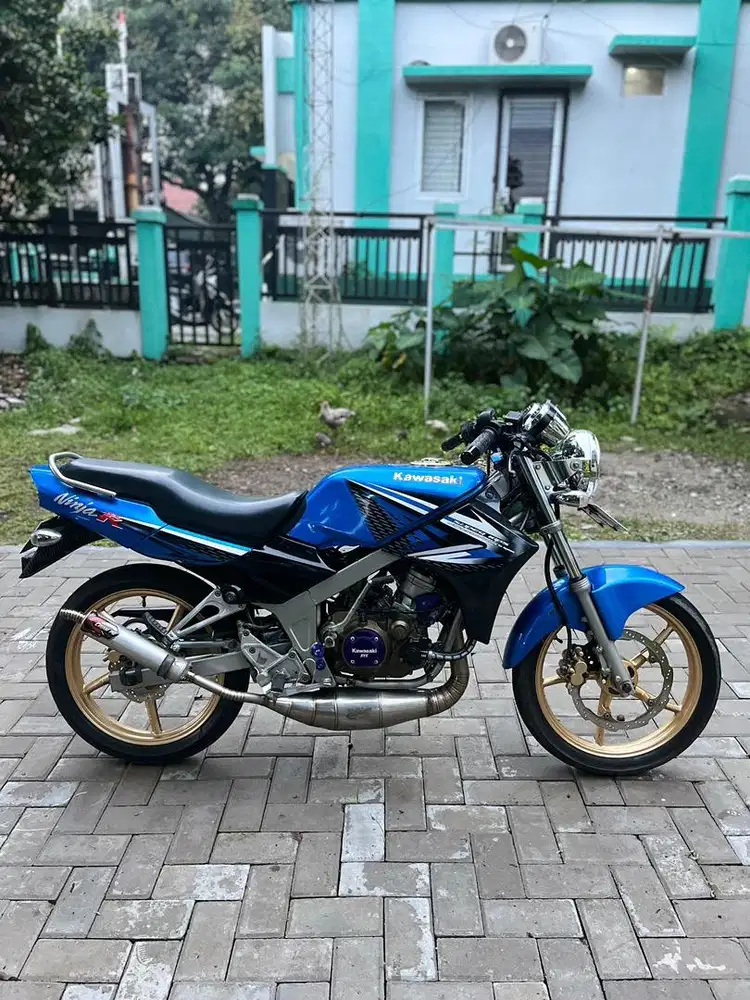 Ninja ss birunya cinta