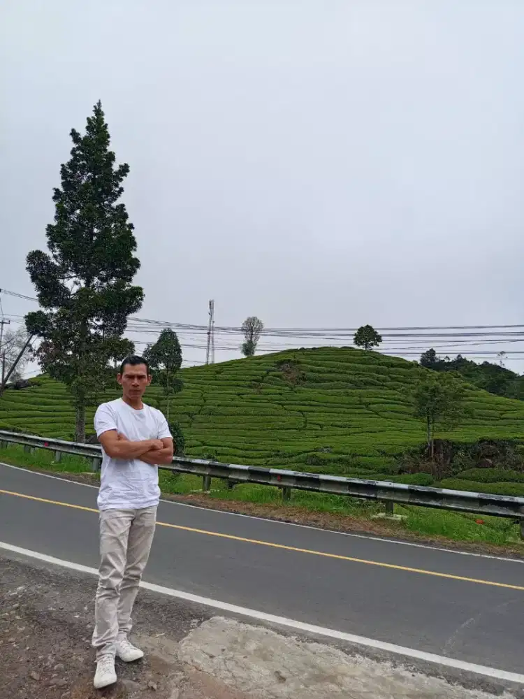 mencari pekerjaan sopir pribadi