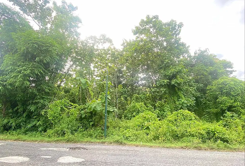 Tanah Strategis di Tepi Jalan Gua Selarong Bangunjiwo