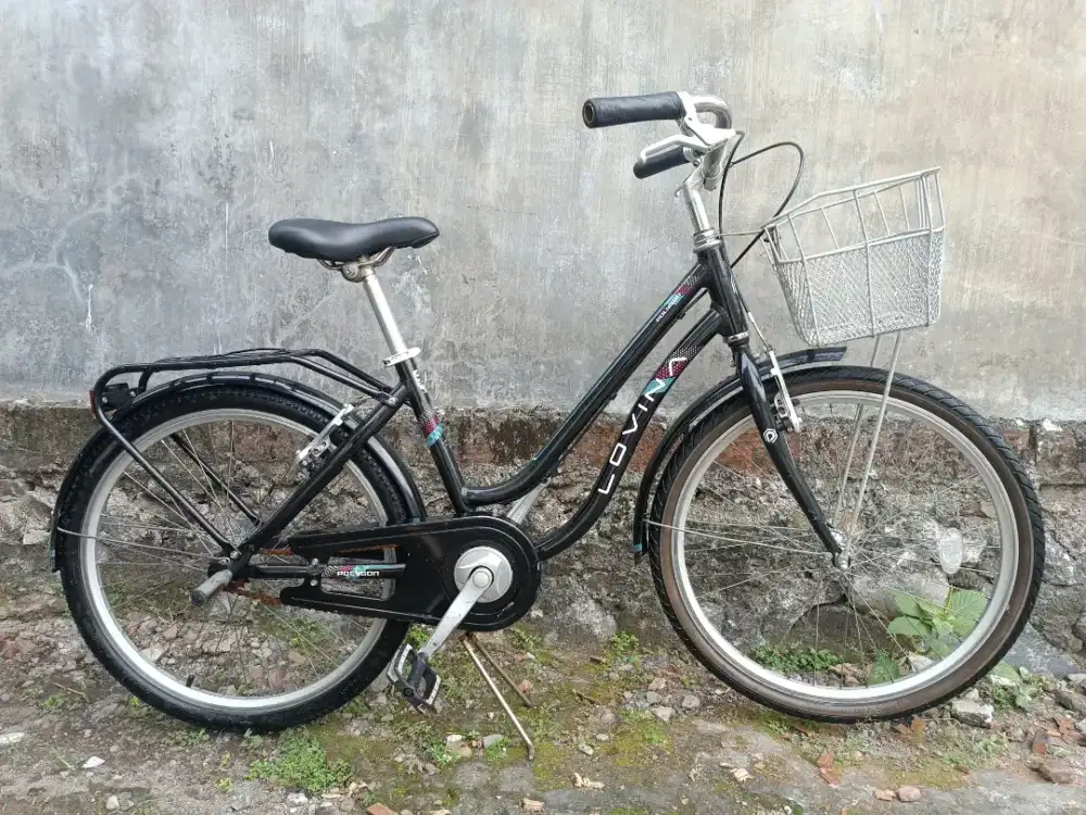 Polygon lovina Uk 24