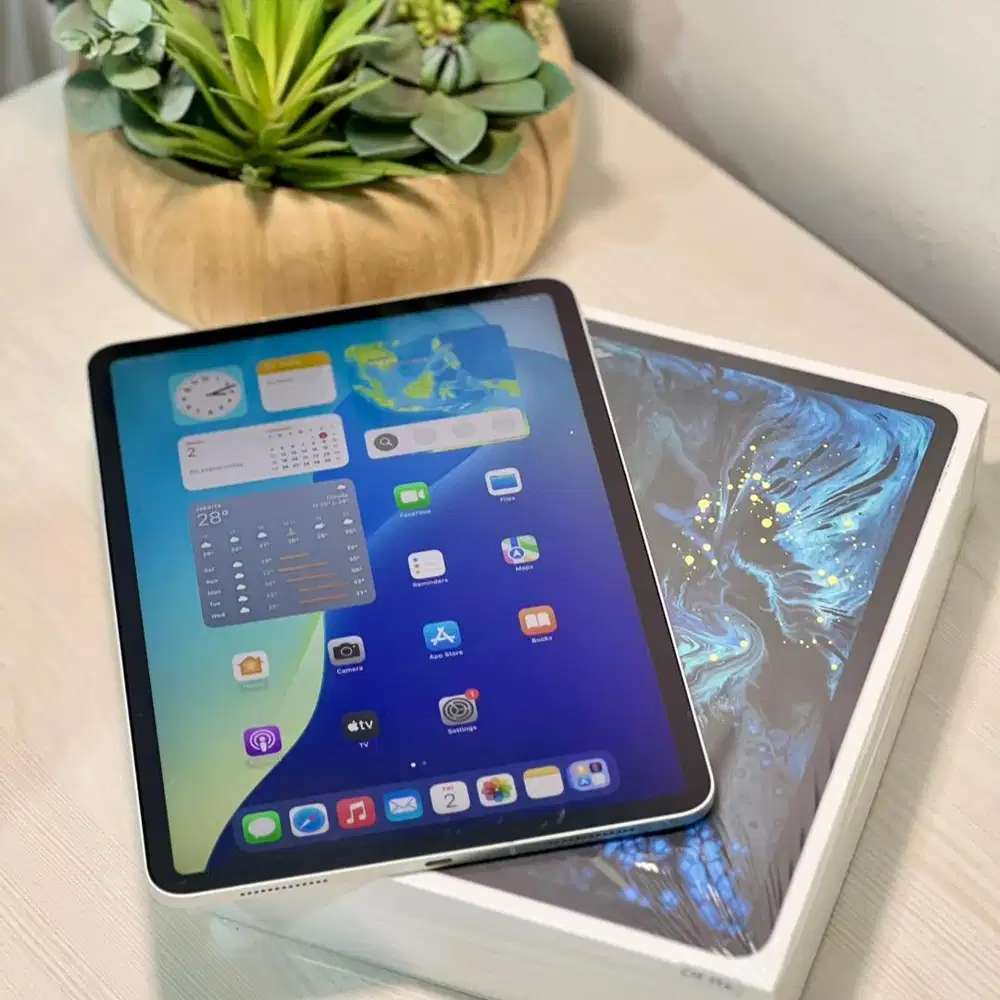 iPad Pro 2018 11inch Silver Cellular Ex iBox