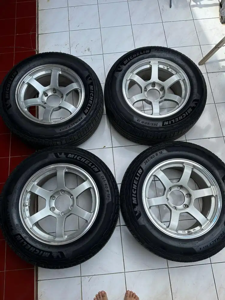 Rep TE 37 Progressive R18