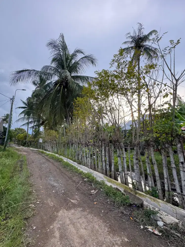 Tanah dijual banda aceh ateuk munjeng 280 meter SHM