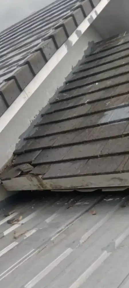 TukanG renovasi atap rmh bocor