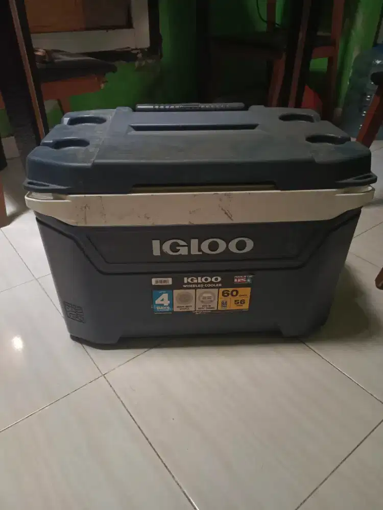 Box cooler igloo 56 liter