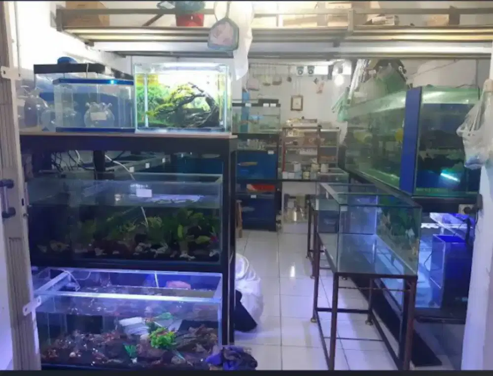 Perlengkapan usaha ikanhias