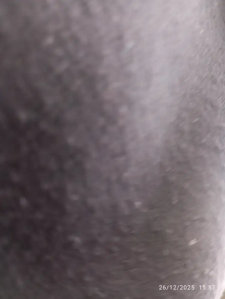 butuh kerjaan apa saja