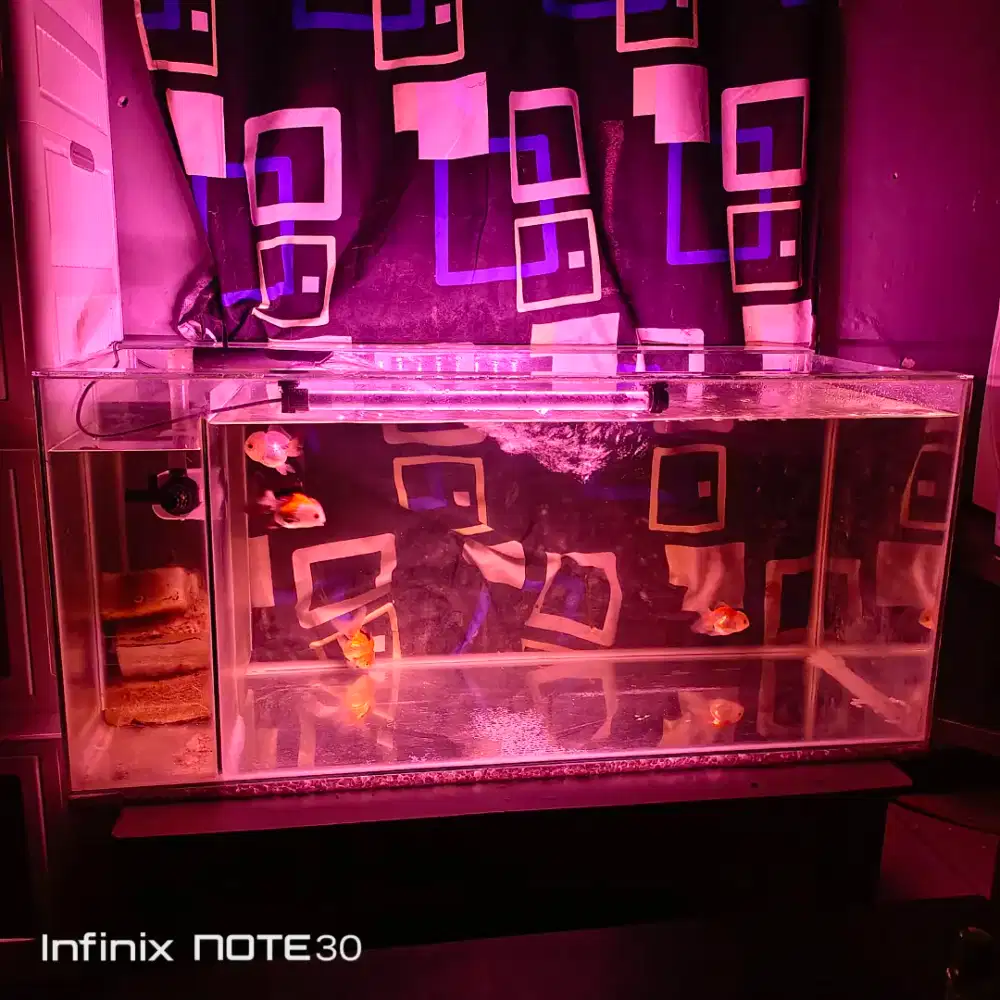 Aquariun 100x50x50 fullset