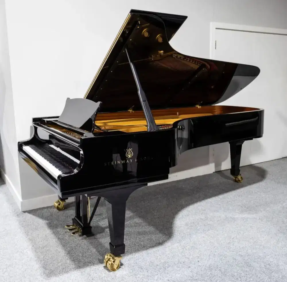 Steinway & Sons Type D – Concert Grand Piano | Premium & Legendary