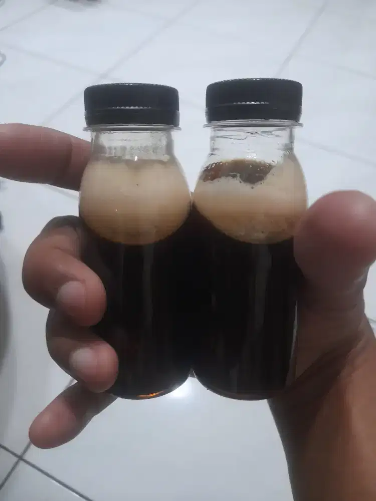 Madu Murni / Pure Honey