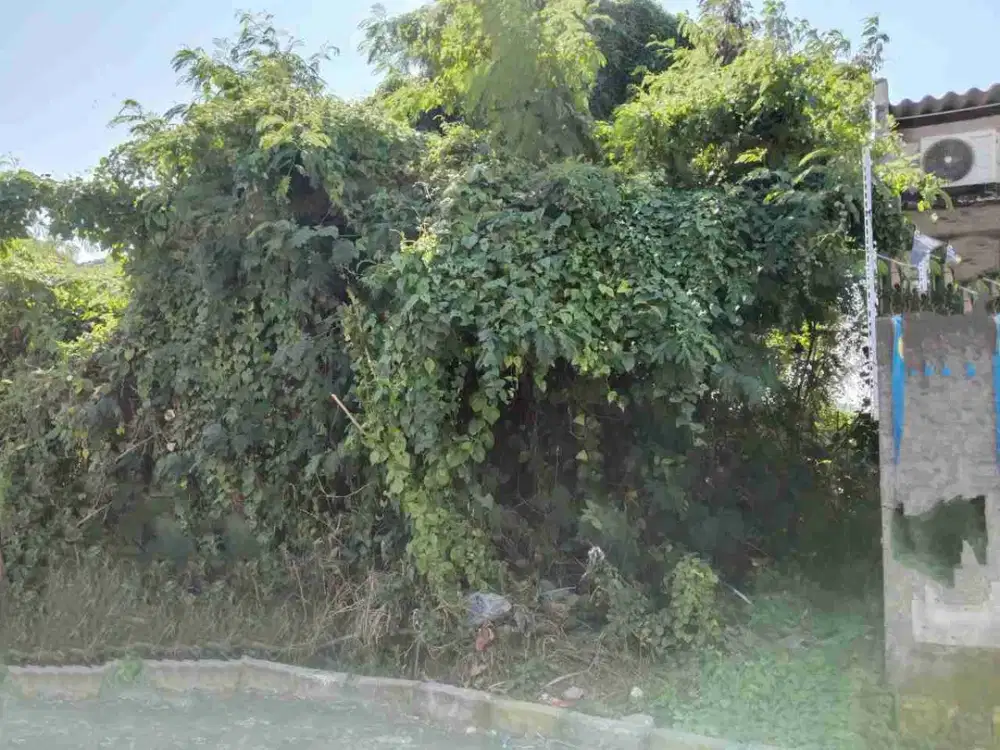 ‼️JUAL CEPAT‼️TANAH WONOREJO ASRI RUNGKUT SURABAYA TIMUR