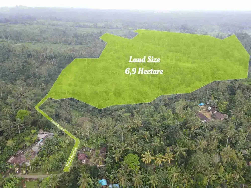 DIJUAL CEPAT  LOKASI TANAH   VIEW SAWAH & SUNGAI , UBUD PAYANGAN  - BALI.