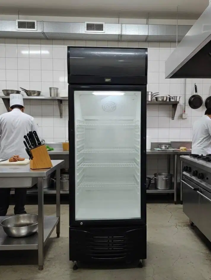 Free antar showcase denpoo murah