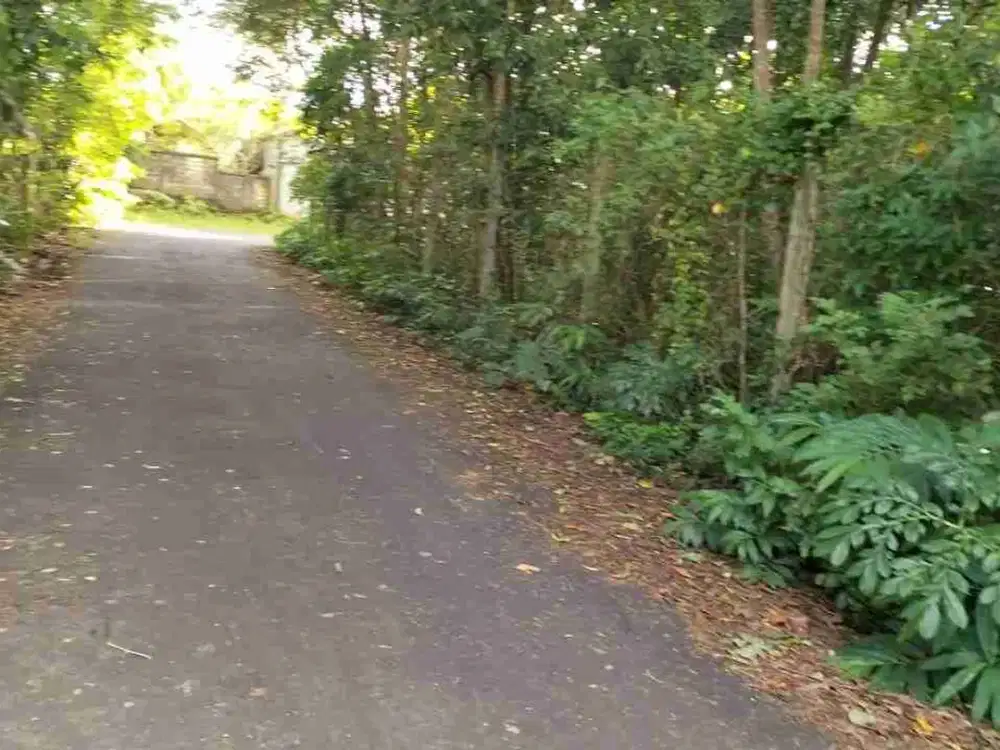 tanah baru di buka sangat bagus murah di kelas nya cocok untuk investasi dan bangun villa bisa beli plot kecil