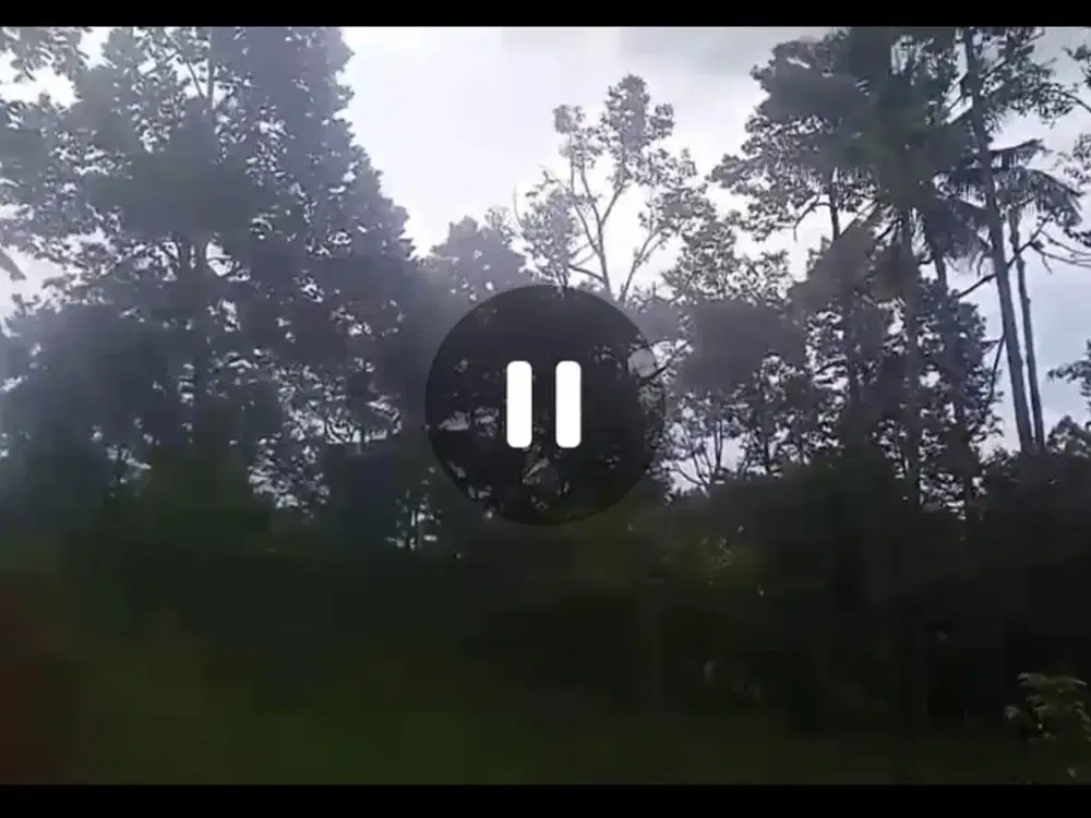 Dijual kebun durian aktif subur Kandangan, Kediri, Wonosalam, Jombang