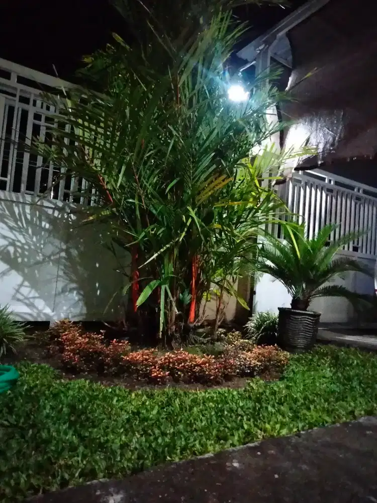 Disewakan cepat Rumah beserta barang Siap Pakai akhir Januari