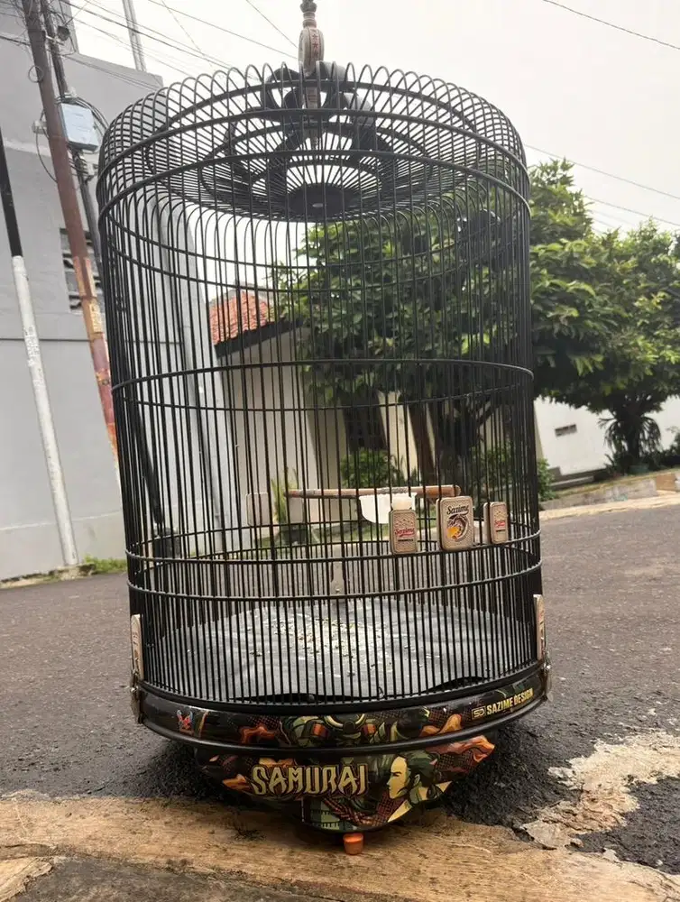 sangkar murai batu pvc decal samurai sazime