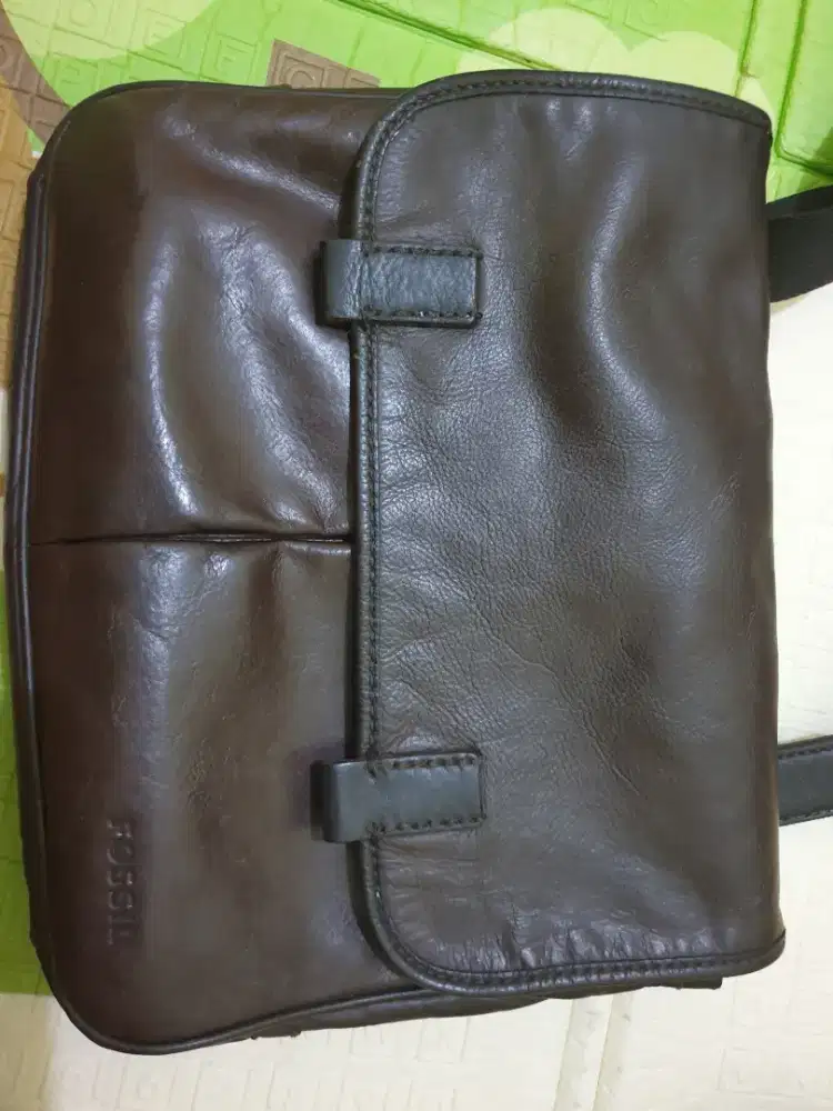Tas fossil original