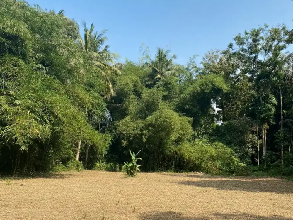 Tanah Strategis daerah Pemda Sleman,Yogyakarta