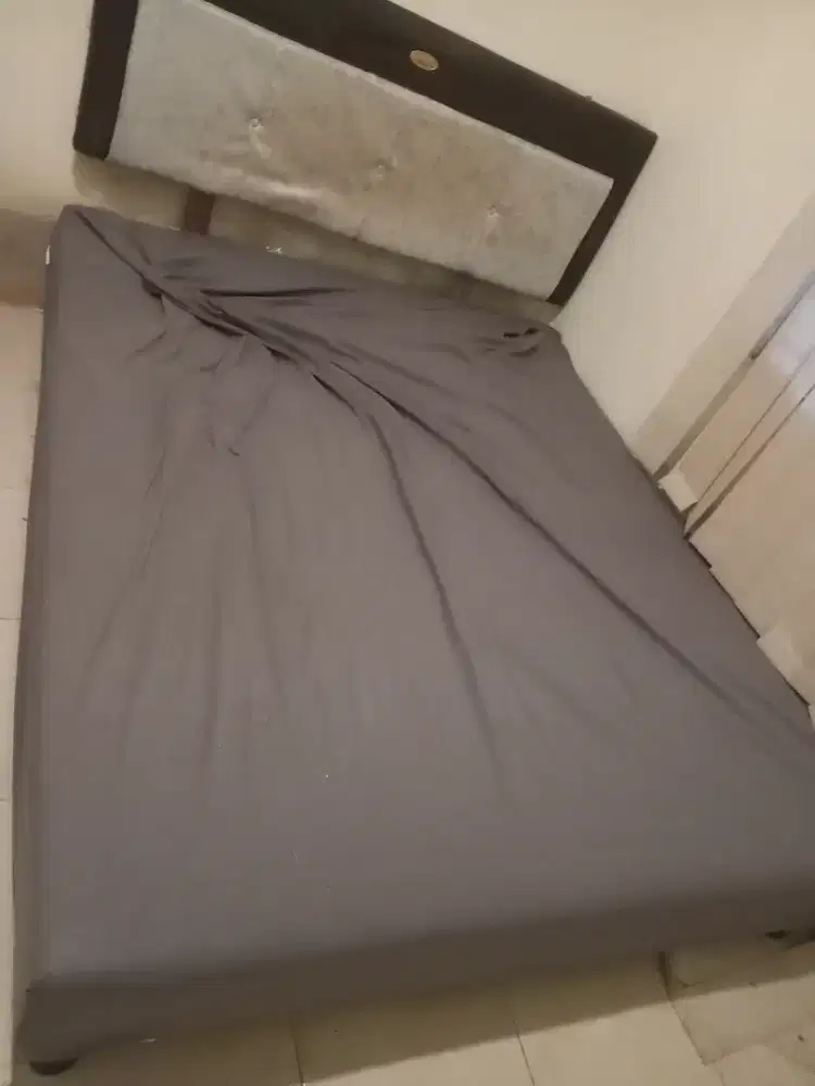 Dipan 160x 200 american pillow