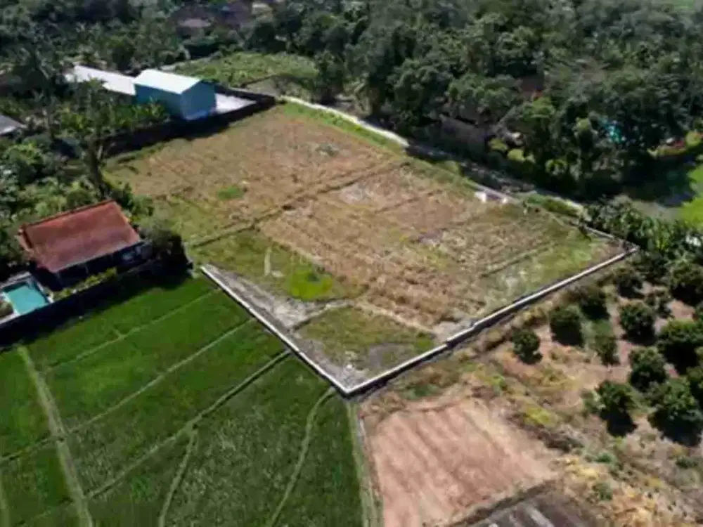 Di jual tanah murah di Tabanan dekat pantai pasut sangat cocok untuk komplex villa