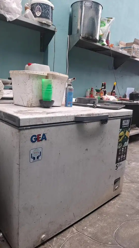 Freezer Gea 300liter