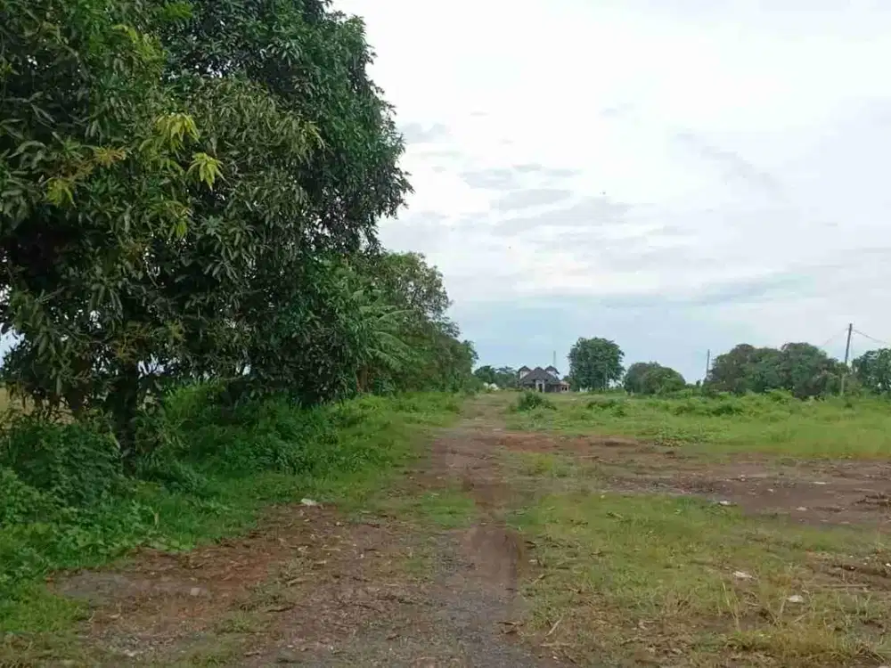 Tanah Industri Di Patrol Indramayu