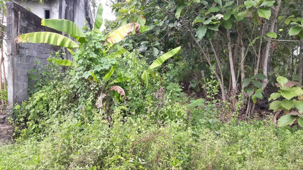 JUAL TANAH STRATEGIS DEKAT POLRES WATES