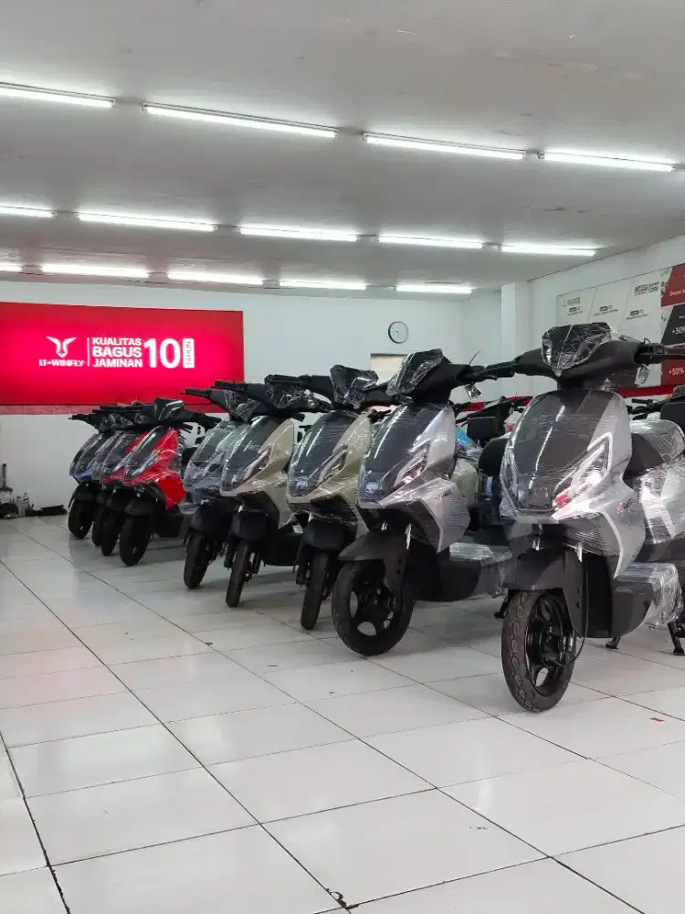 Sepeda listrik d66a uwinfly
