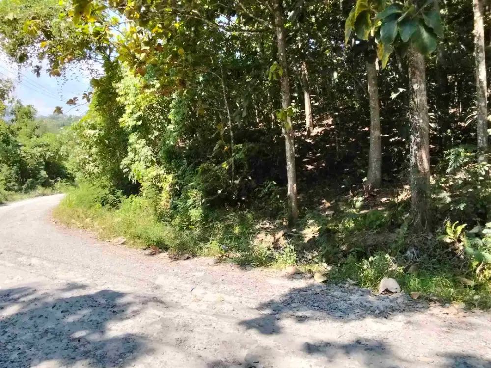 TANAH MURAH BERISI POHON JATI DAN VIEW PANTAI DENGAN PANORAMA DANAU RANAU DAN GUNUNG SEMINUNG