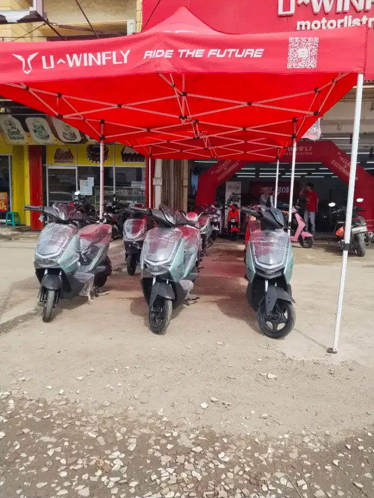 Uwinfly D66b sepeda listrik pintar