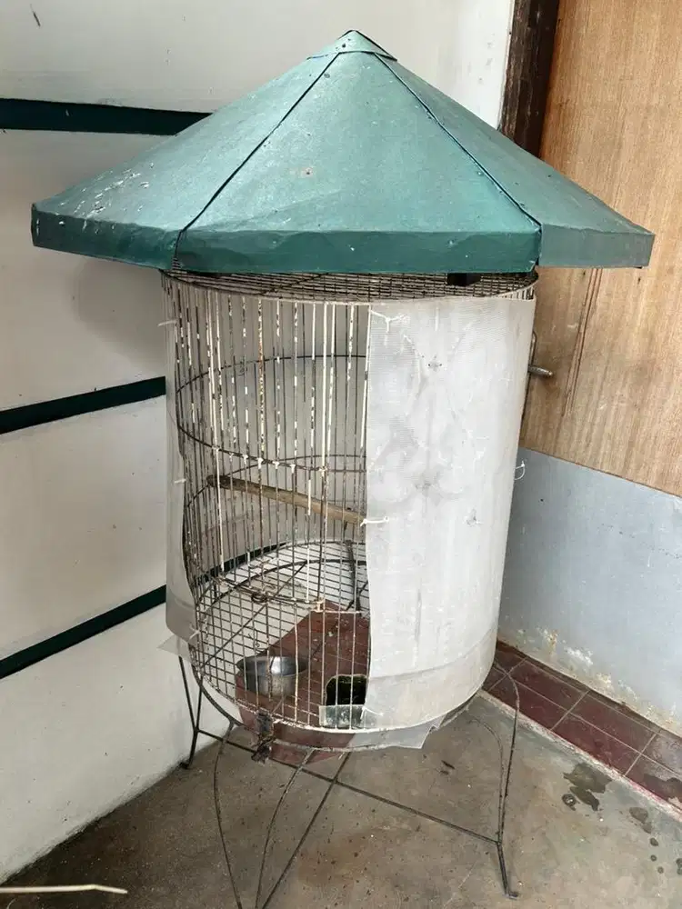 Kandang besi burung jos gacor istimewa