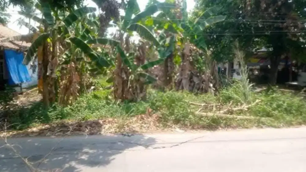 JUAL MURAH TANAH SUKAMULYA