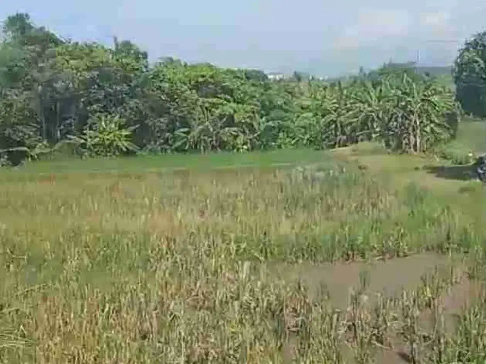 Tanah Los Pantai Pasut Tabanan View Laut dan Sawah