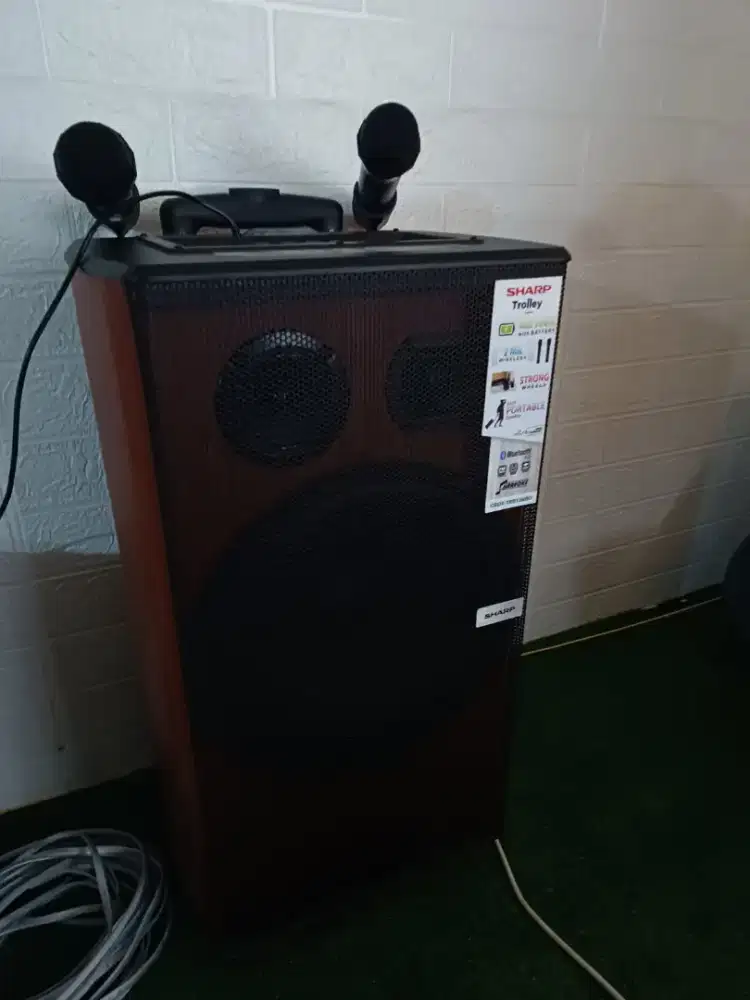 Speaker audio bluetoooh karaoke