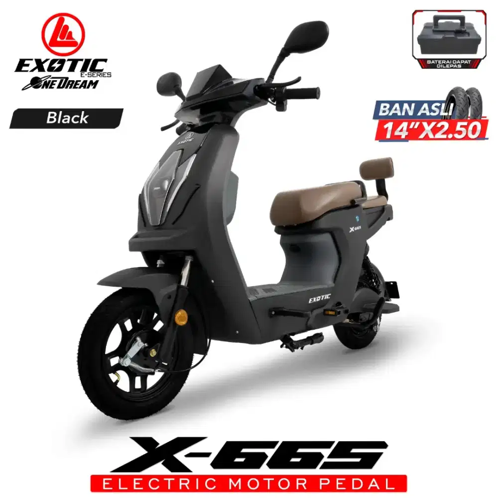 SEPEDA LISTRIK EXOTIC X-665