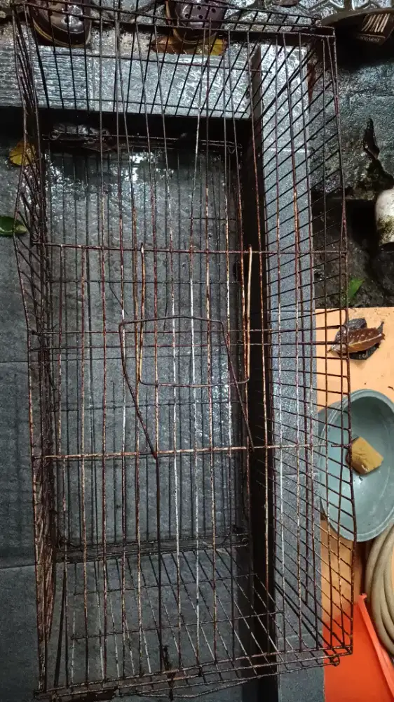 Kandang besi burung dara merpati