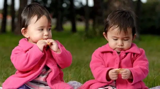 Butuh pengasuh Anak kembar freelance