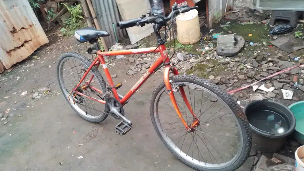 Sepeda Federal orisinil