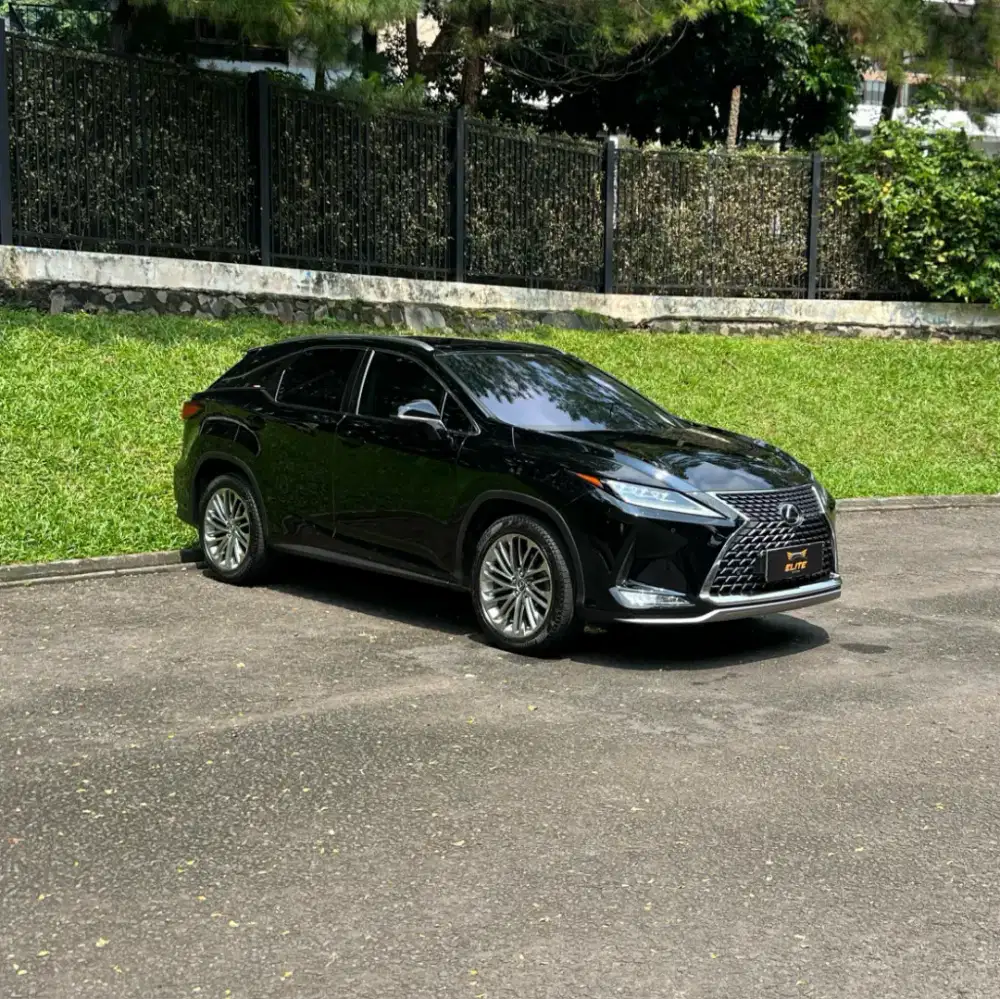 Lexus RX 300 Luxury 2019