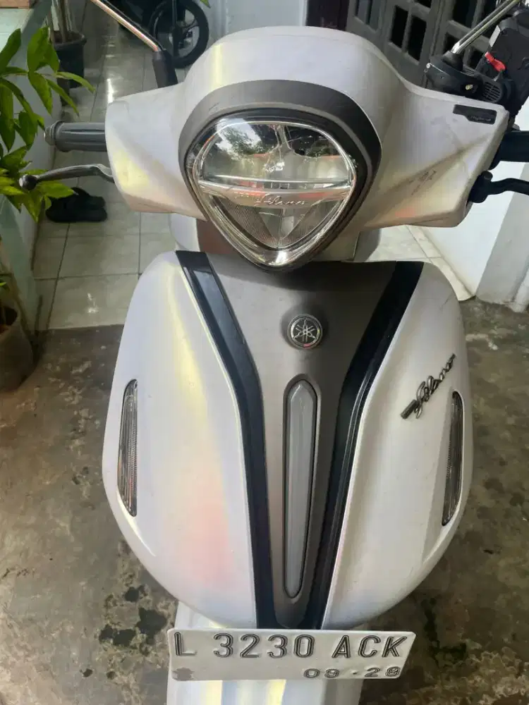 Bismillah mau jual grand filano 2024