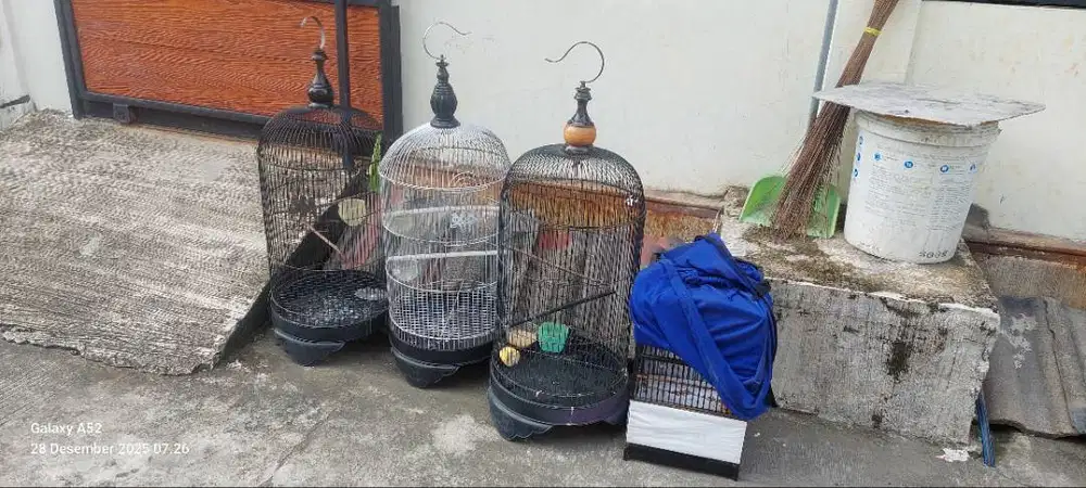 Kandang burung lovebird