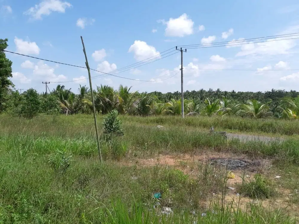 Tanah 230.000m2 (23 Hektar) Lokasi Cikolek, Batu 33