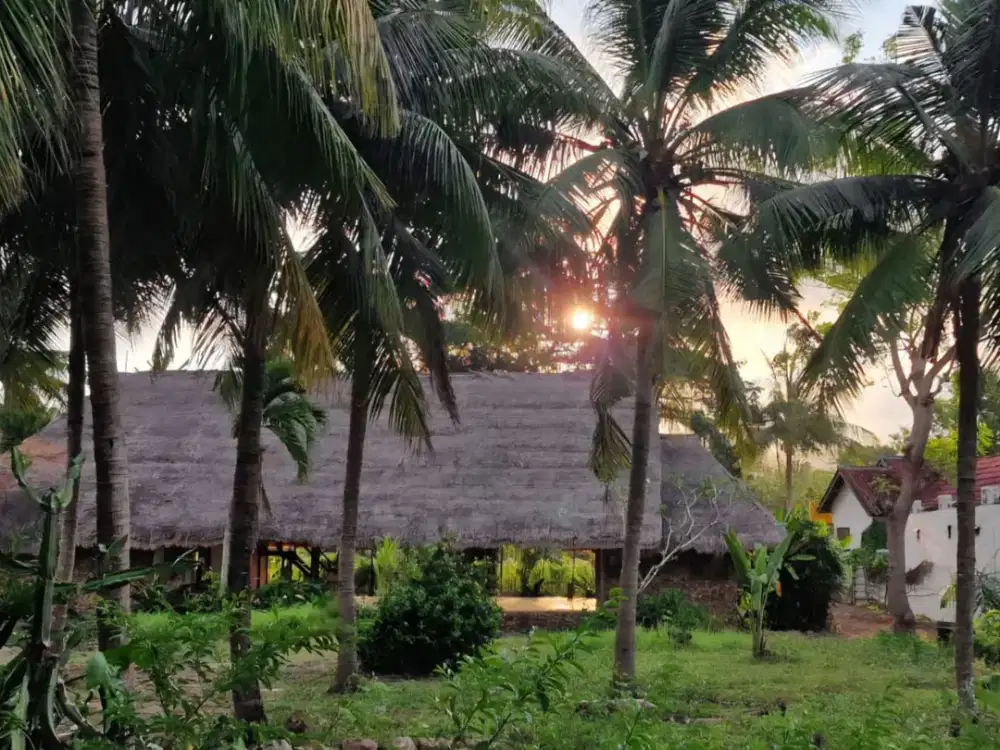 Rumah dengan lahan luas 13 - 24,5 ARE.