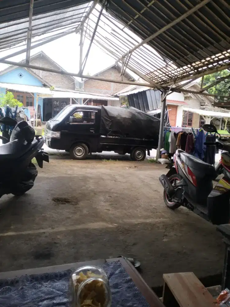 Jasa angkut expedisi bibit buah