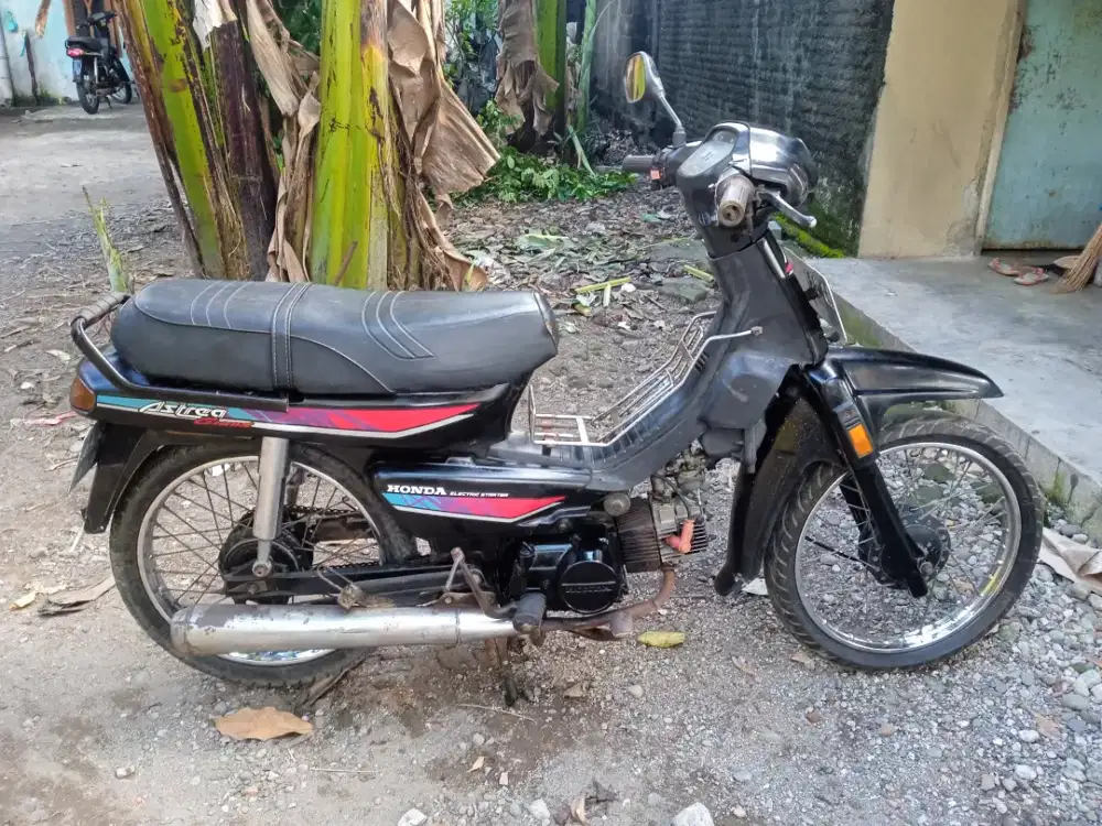 Astrea grand bulus 93