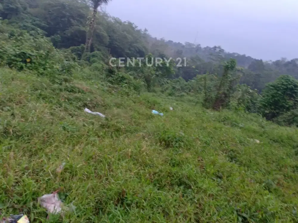 Tanah Gunung Geulis Cocok Untuk Resort Dekat Hambalang Sentul